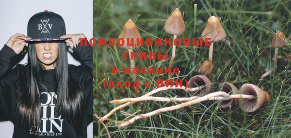 MESCALINE Волоколамск