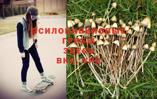 MESCALINE Волоколамск