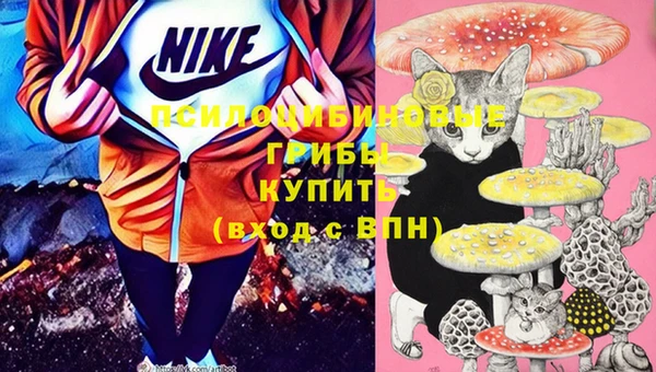 ГАЛЛЮЦИНОГЕННЫЕ ГРИБЫ Волосово