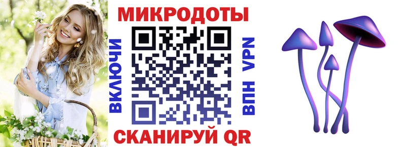 купить наркоту Власиха KRAKEN ССЫЛКА Псилоцибиновые грибы Psilocybine cubensis